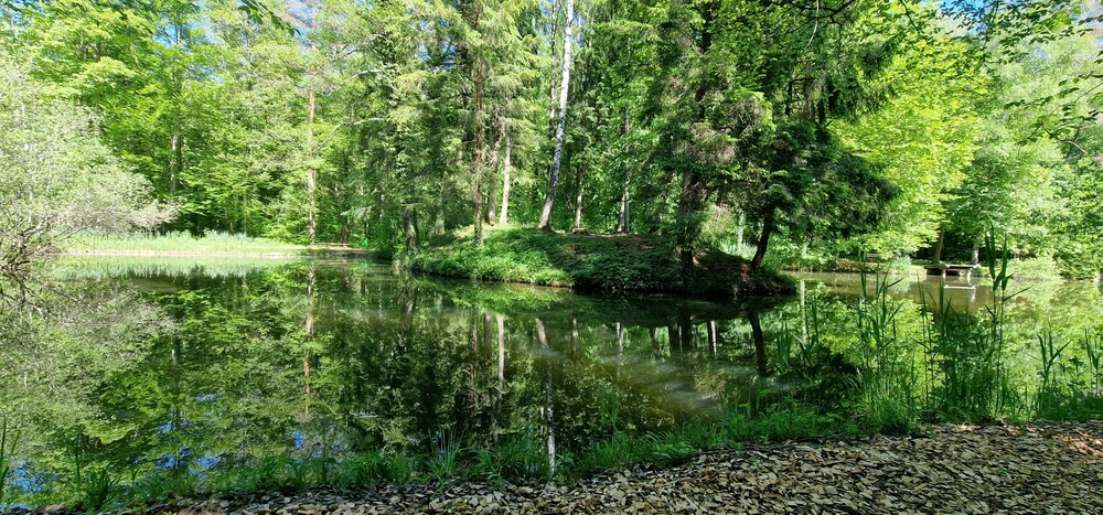 GIF hochgeladen von Michi