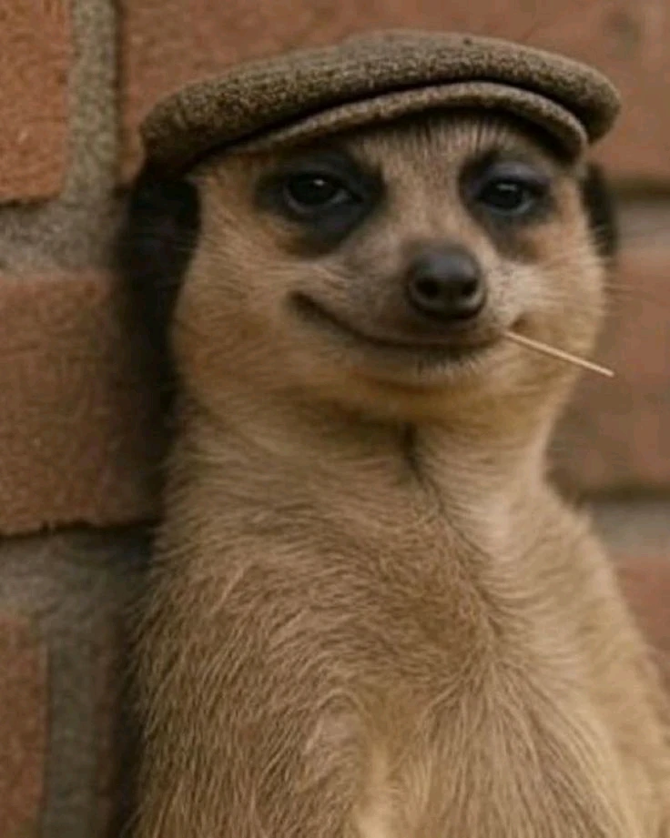 GIF uploaded by π¨ππππ..