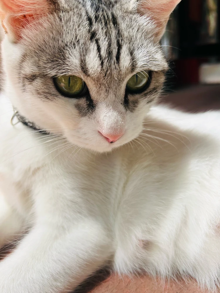 Image uploaded by 斌