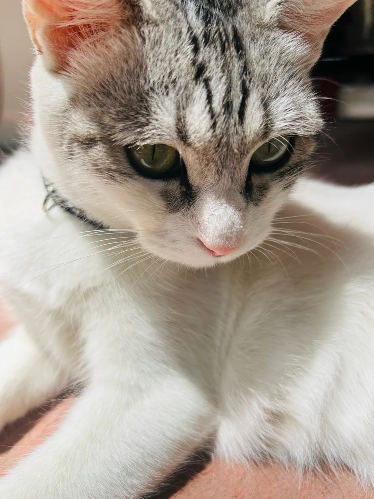 Image uploaded by 斌