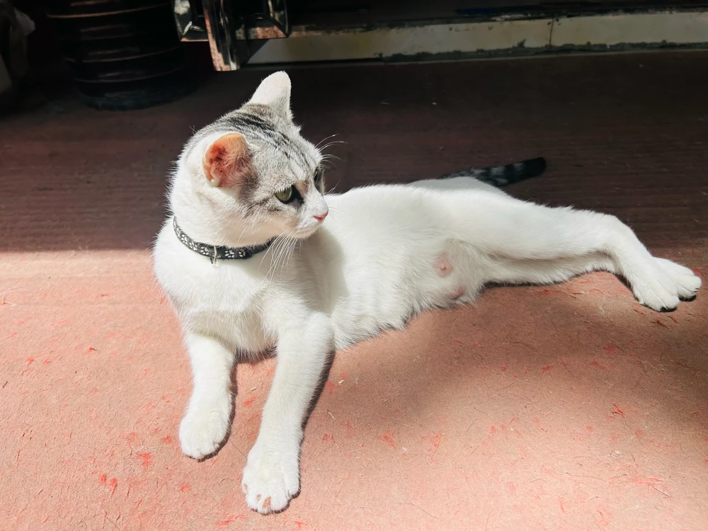 Image uploaded by 斌