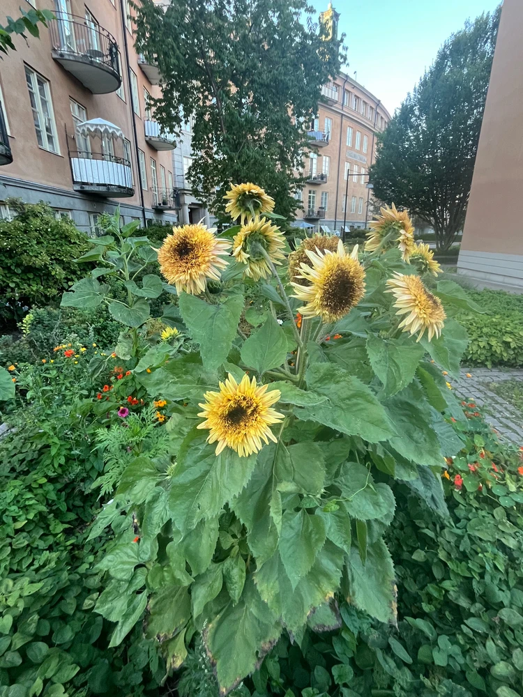 Image uploaded by Matilda