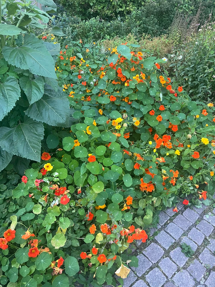 Image uploaded by Matilda