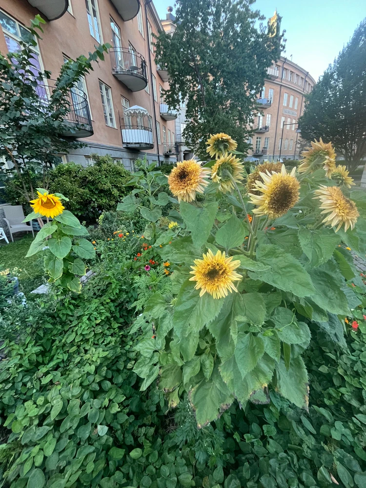 Image uploaded by Matilda