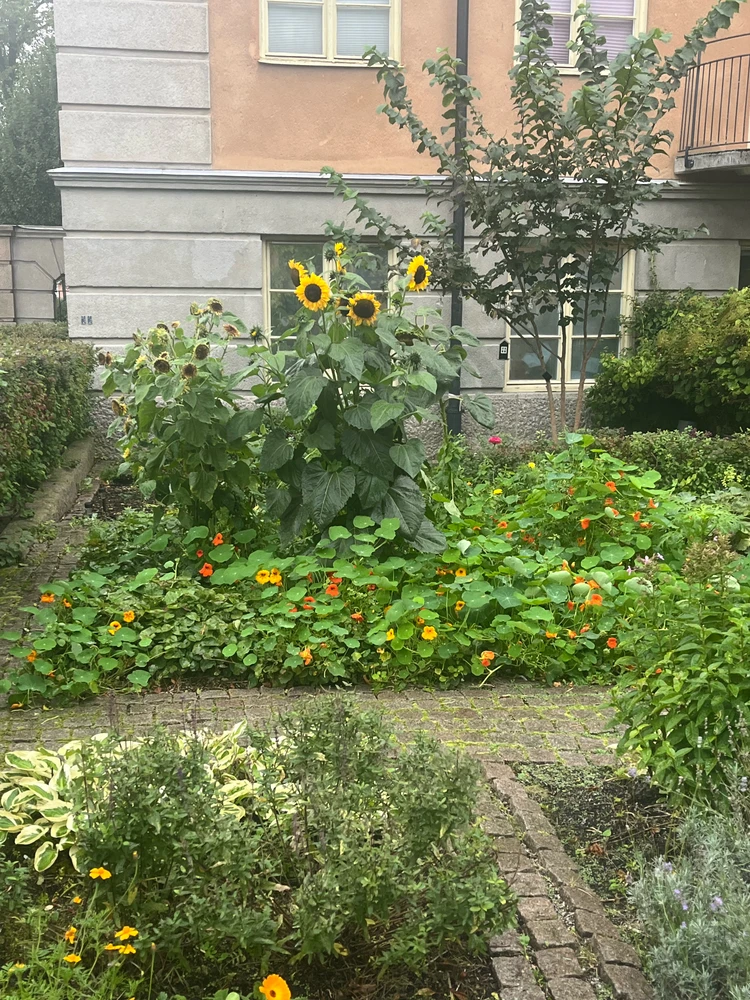 Image uploaded by Matilda