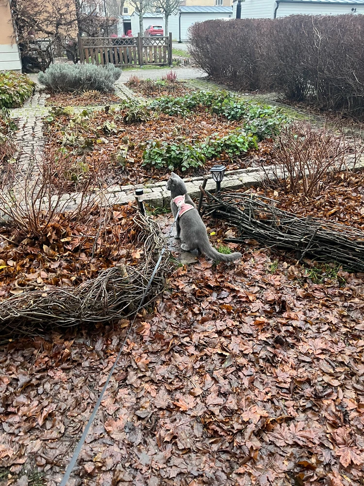 Image uploaded by Matilda