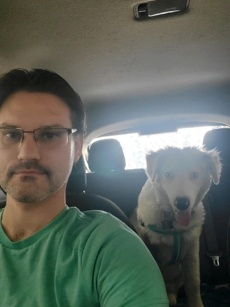 GIF uploaded by Bo