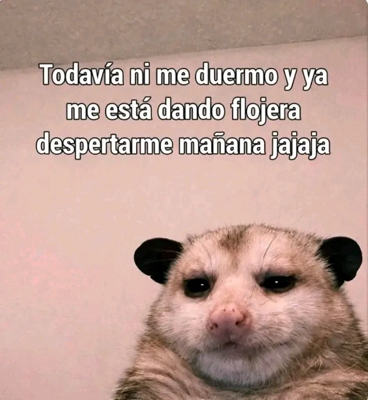 GIF subido por Paola