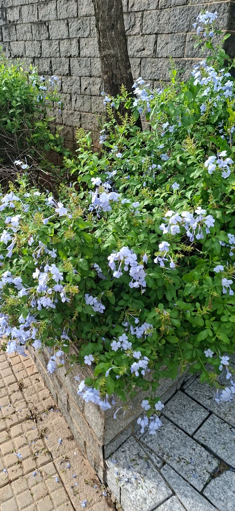 GIF uploaded by Ina