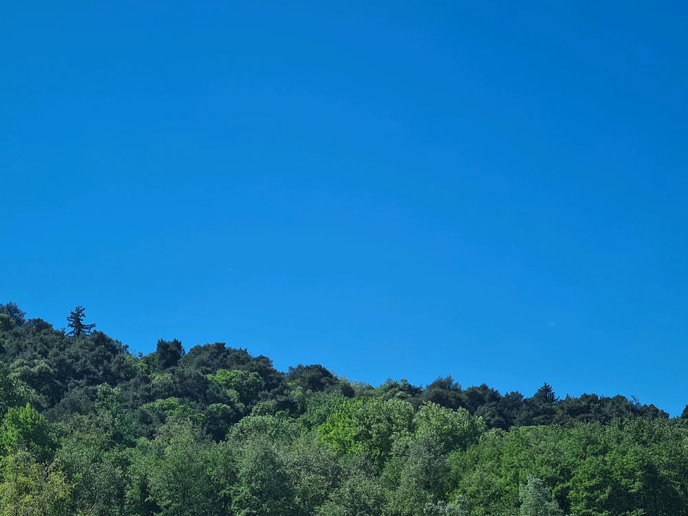 GIF uploaded by Gabrio aka Milord