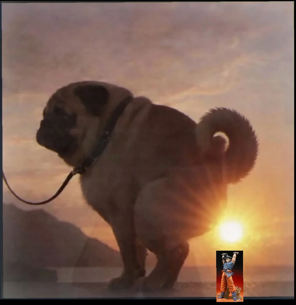 GIF caricata da Tommy