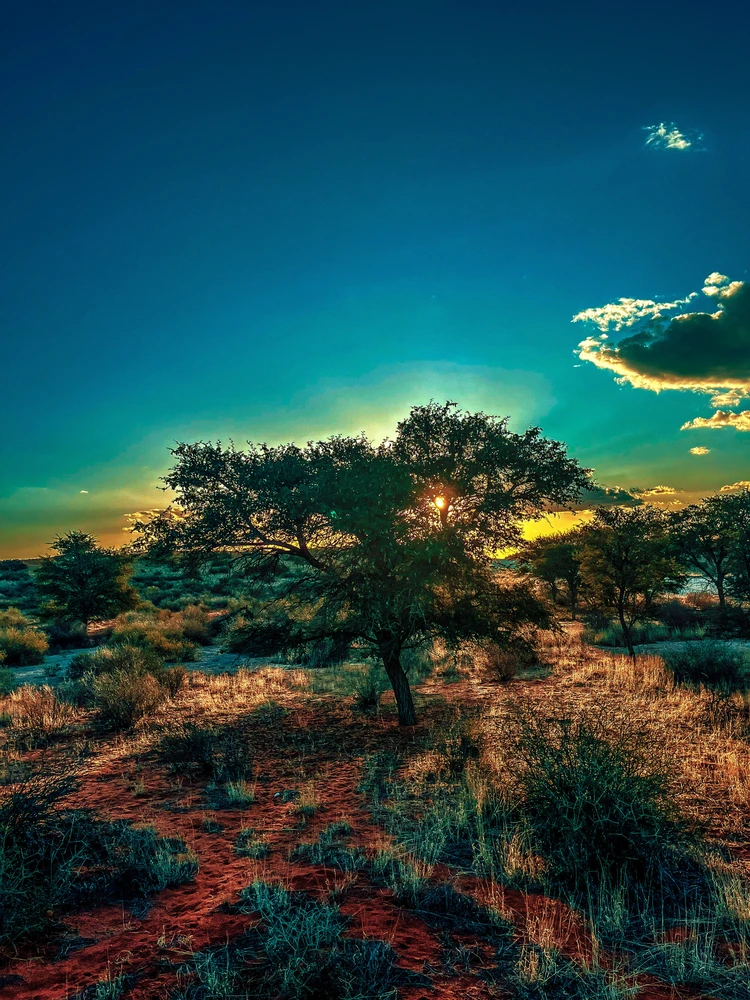 GIF uploaded by Maritza