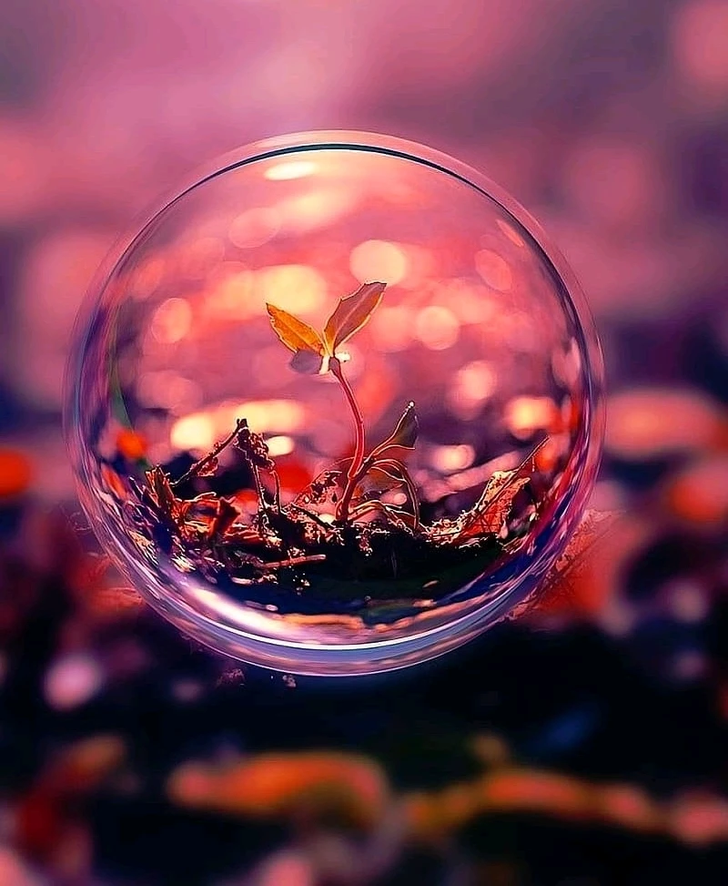 GIF uploaded by Nit