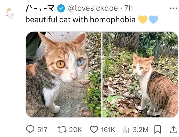 GIF uploaded by Alexandros