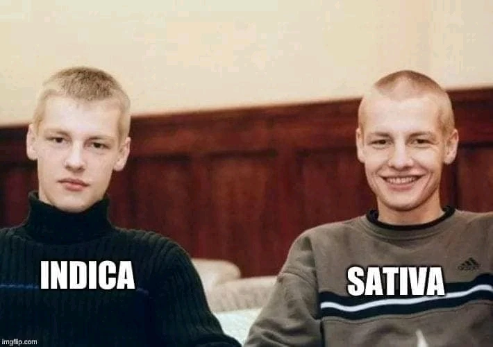 GIF uploaded by Rafał