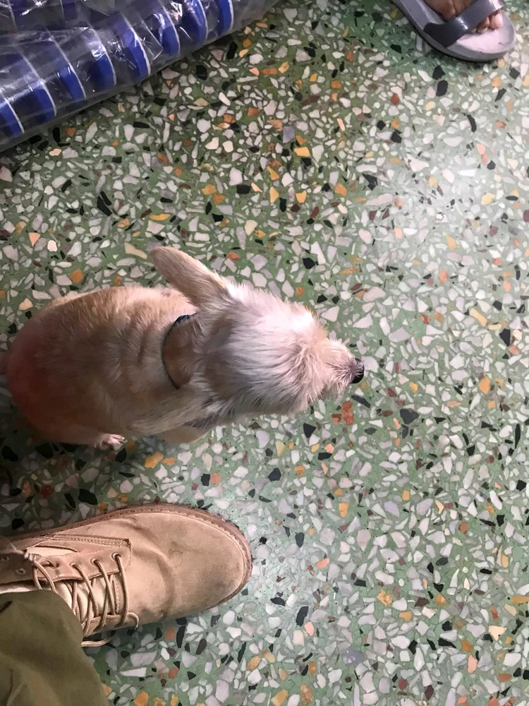 GIF uploaded by S