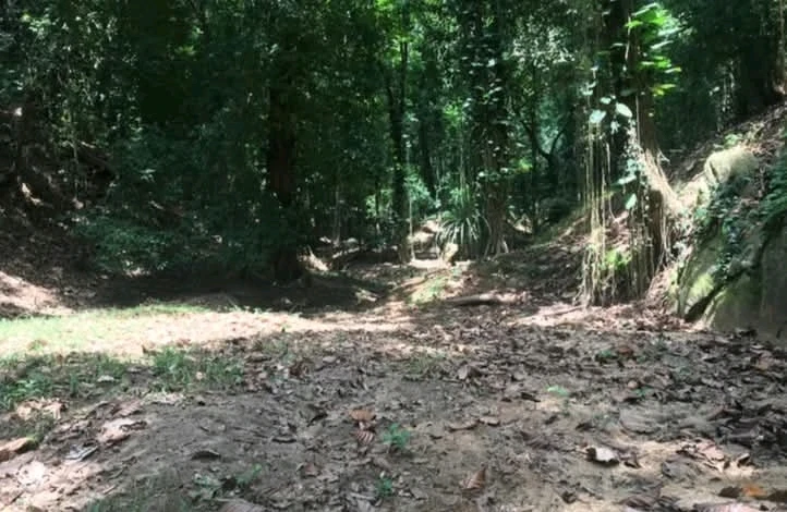 GIF uploaded by S