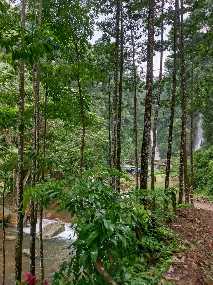 Image uploaded by Tioo