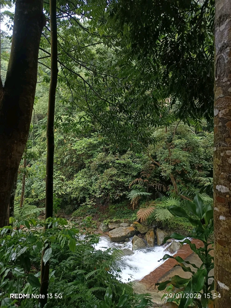 Image uploaded by Tioo