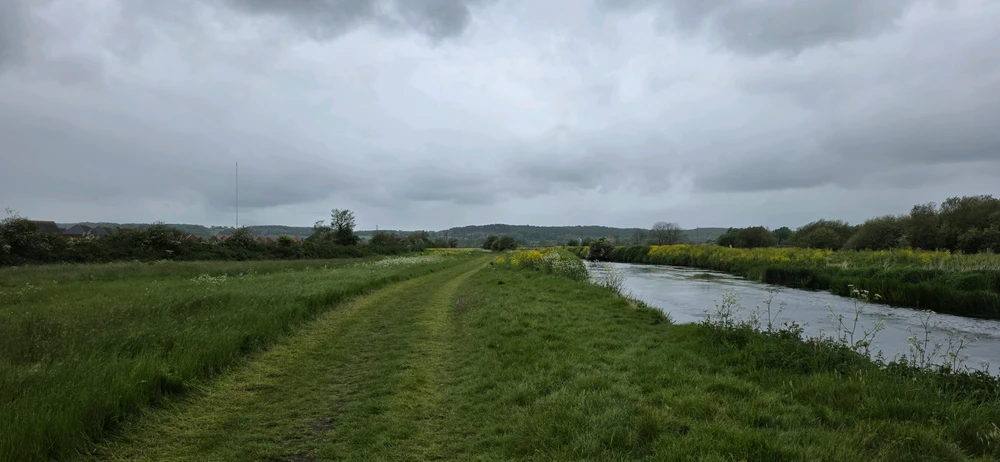 Down by the river