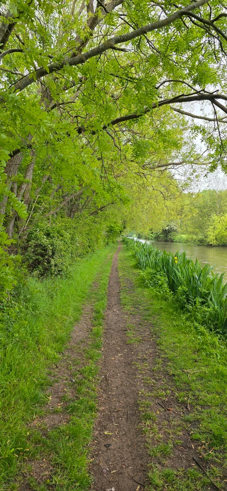 The path home