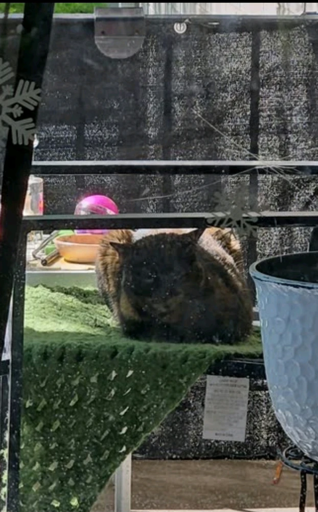 GIF uploaded by Equasia