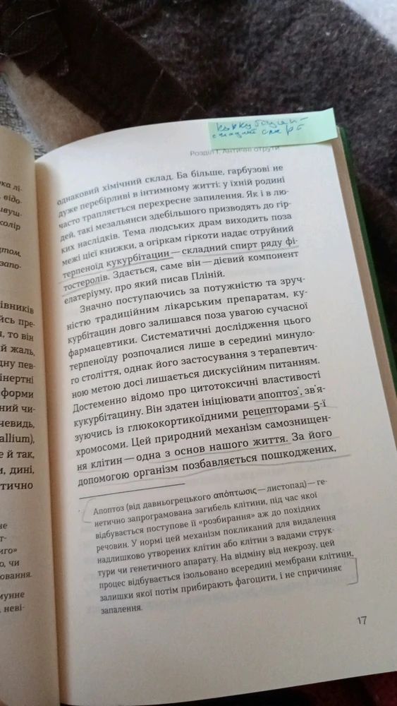 Зображення завантажив Вероніка