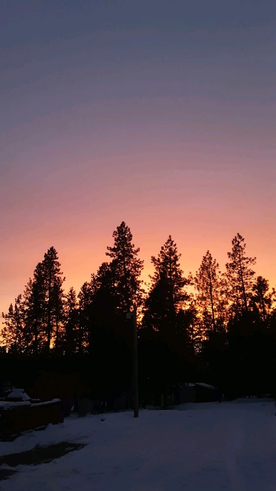 GIF uploaded by Isaac