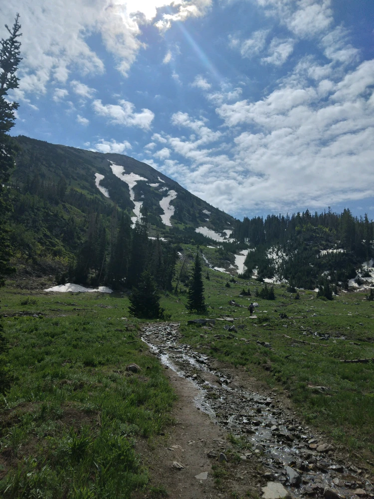 Image uploaded by David