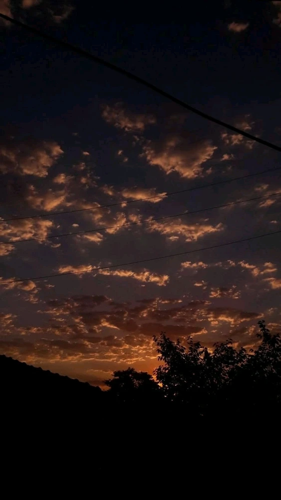 GIF uploaded by Taranjeet Kaur