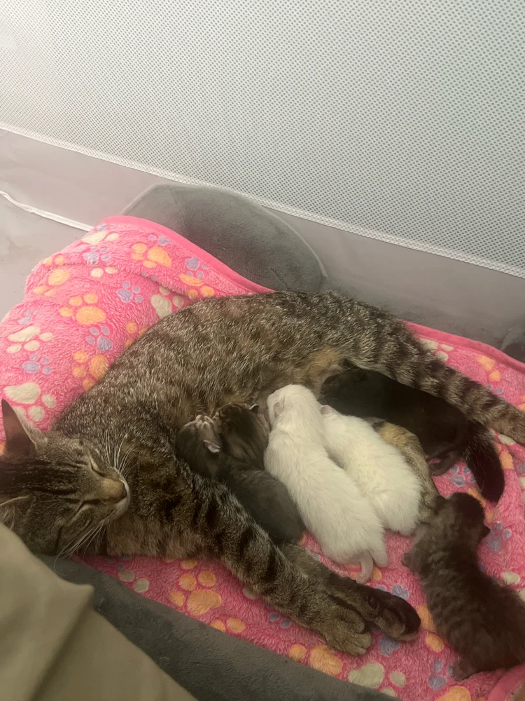 GIF uploaded by Bradley