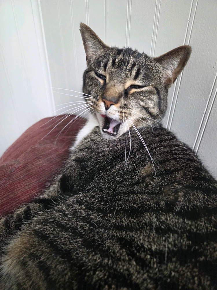 GIF uploaded by Noah