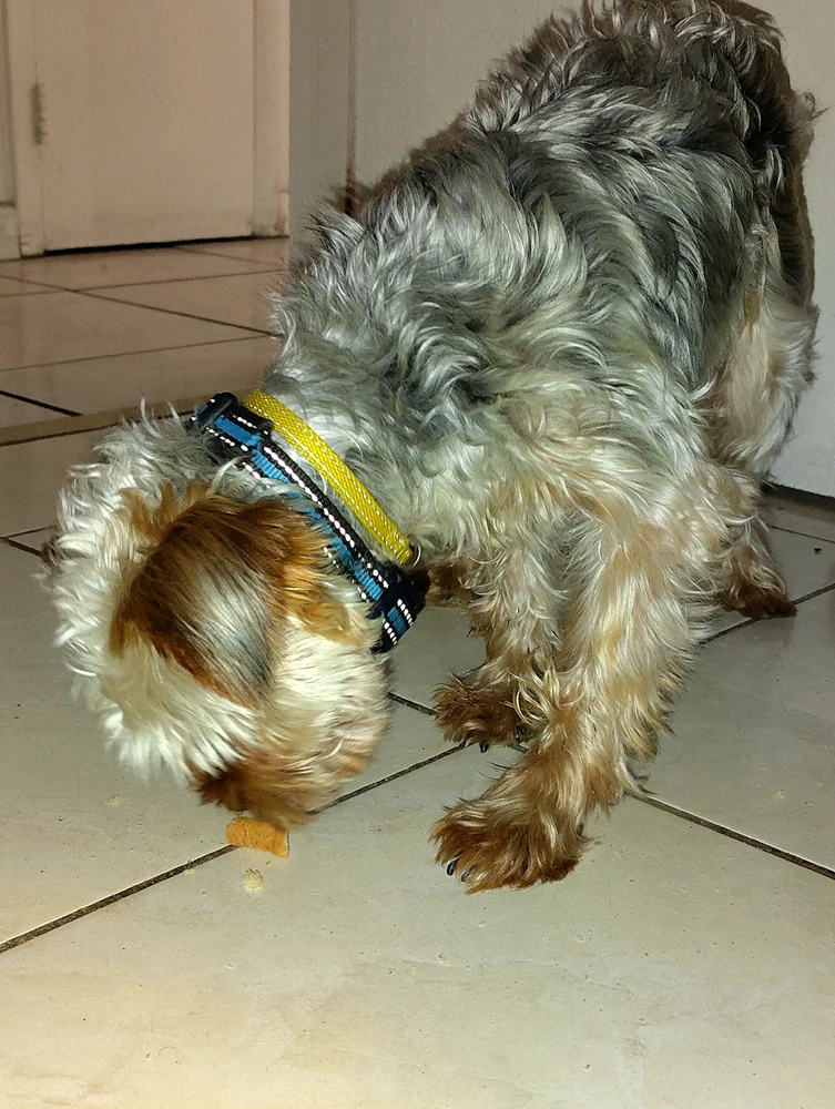 GIF uploaded by MAWKY
