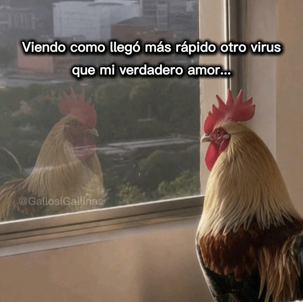 GIF subido por Pio