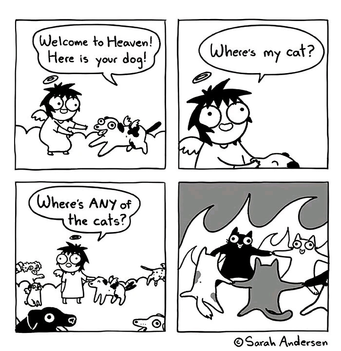 GIF uploaded by Cat-a-strophe
