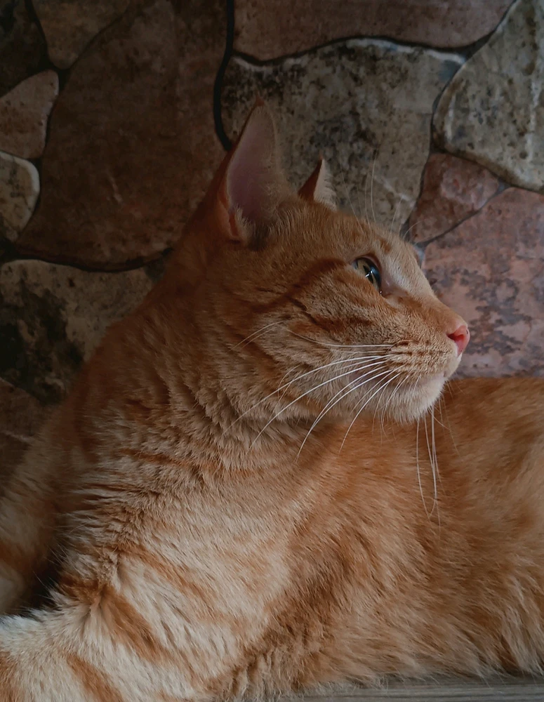 GIF uploaded by Juls