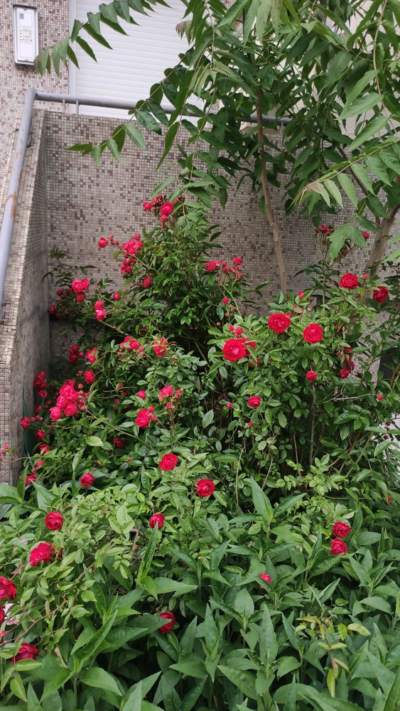 Image uploaded by Nathalie