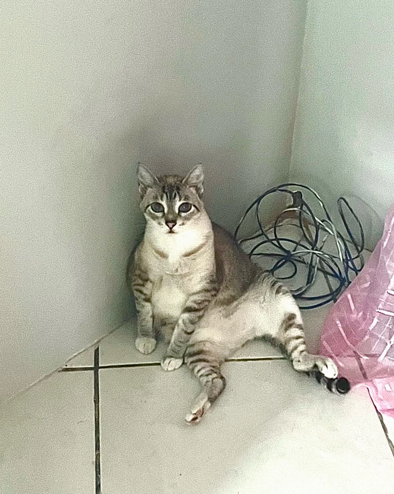 GIF enviado por Laíse