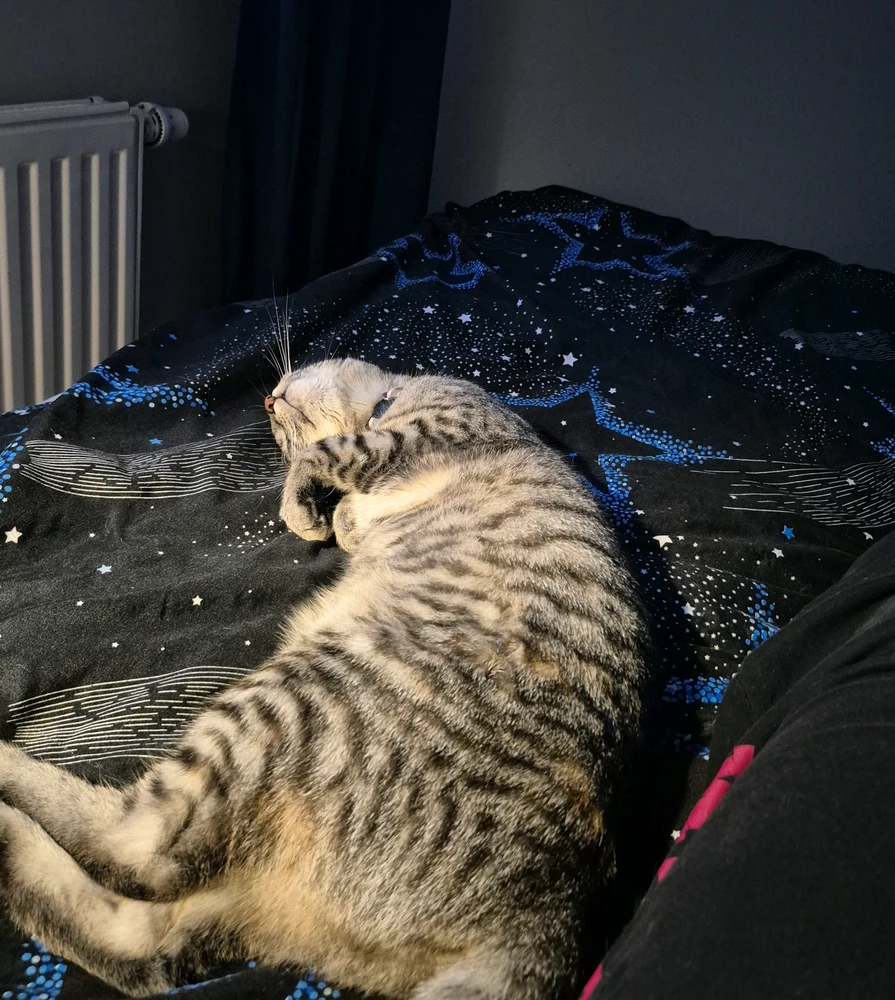 GIF uploaded by Krzysztof
