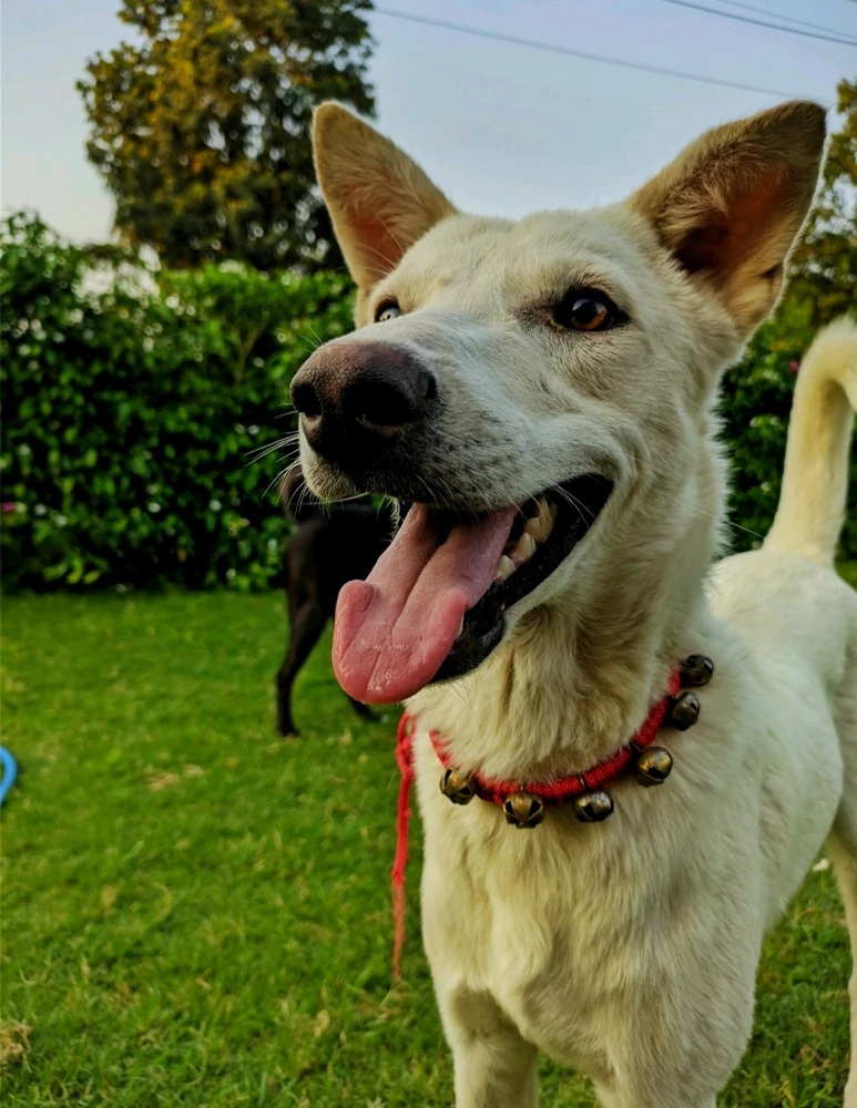 GIF uploaded by Uday Bhanu