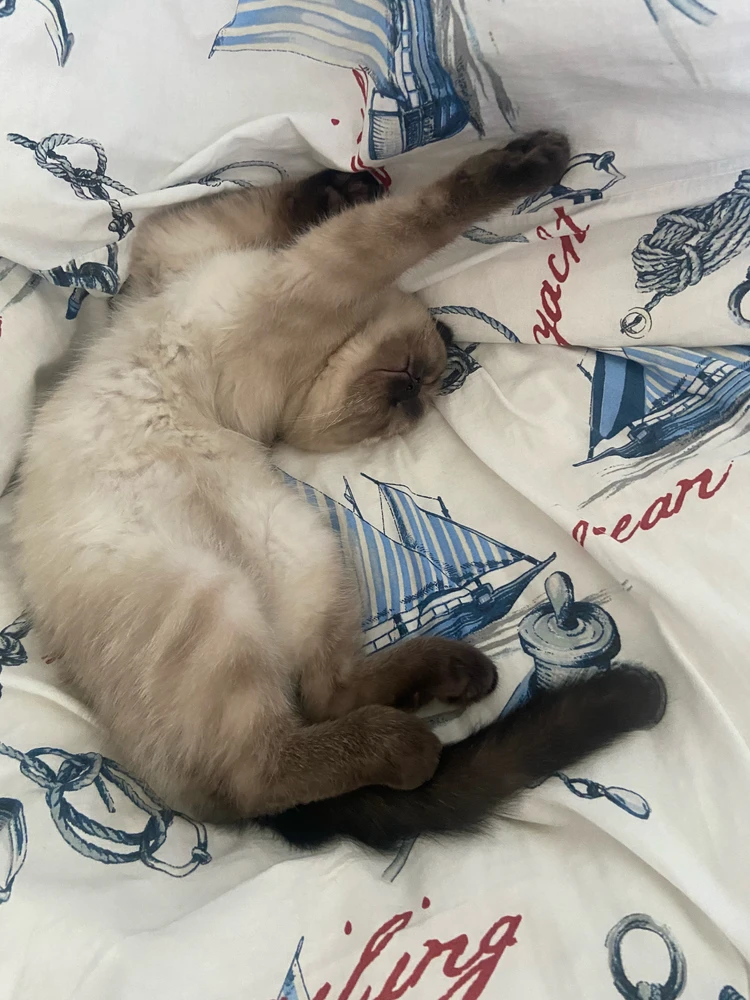 GIF uploaded by Hakan