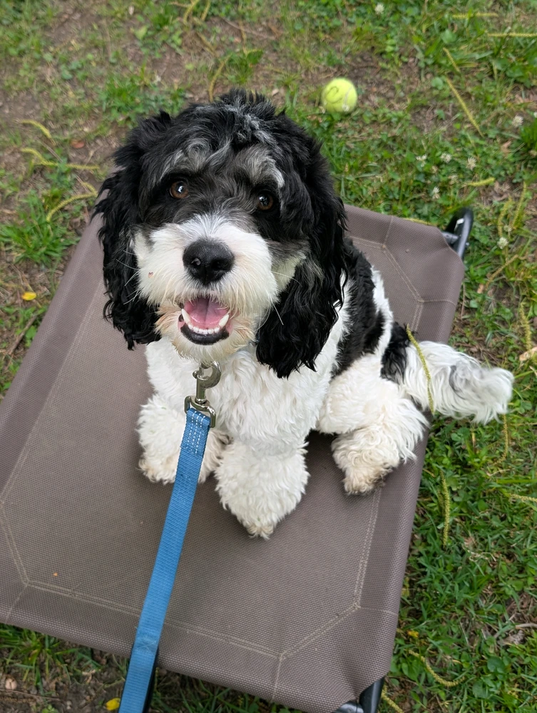 GIF uploaded by Olivia