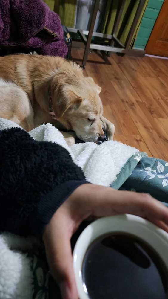 GIF uploaded by Camila