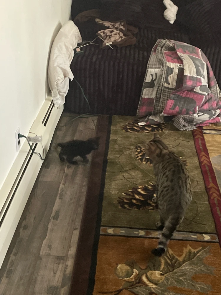 GIF uploaded by Sammy