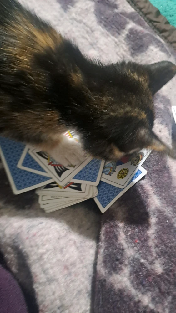 GIF uploaded by Nata