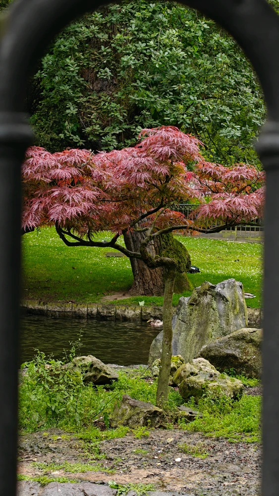 GIF uploaded by Dan
