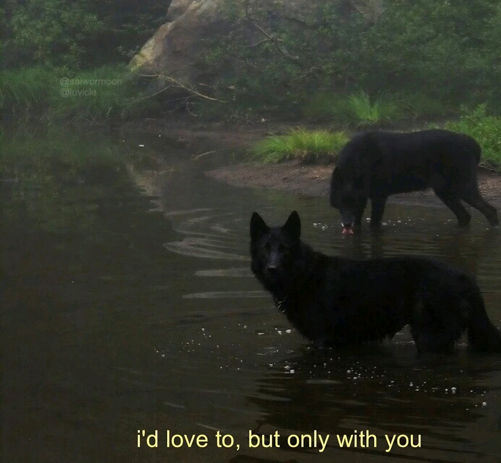 GIF uploaded by J