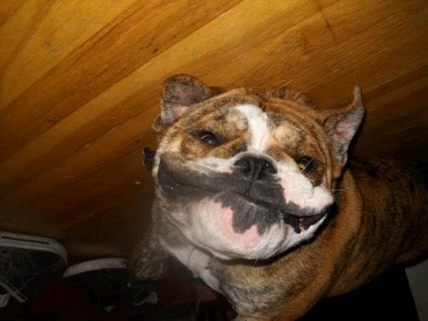 GIF uploaded by Berley