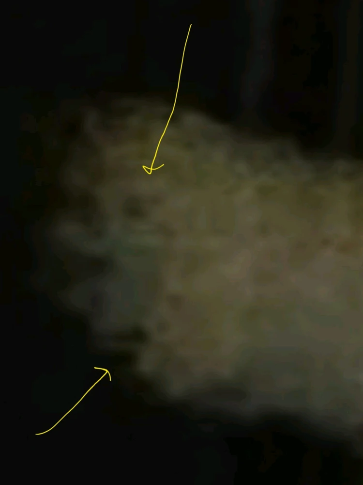Image uploaded by Ever B
