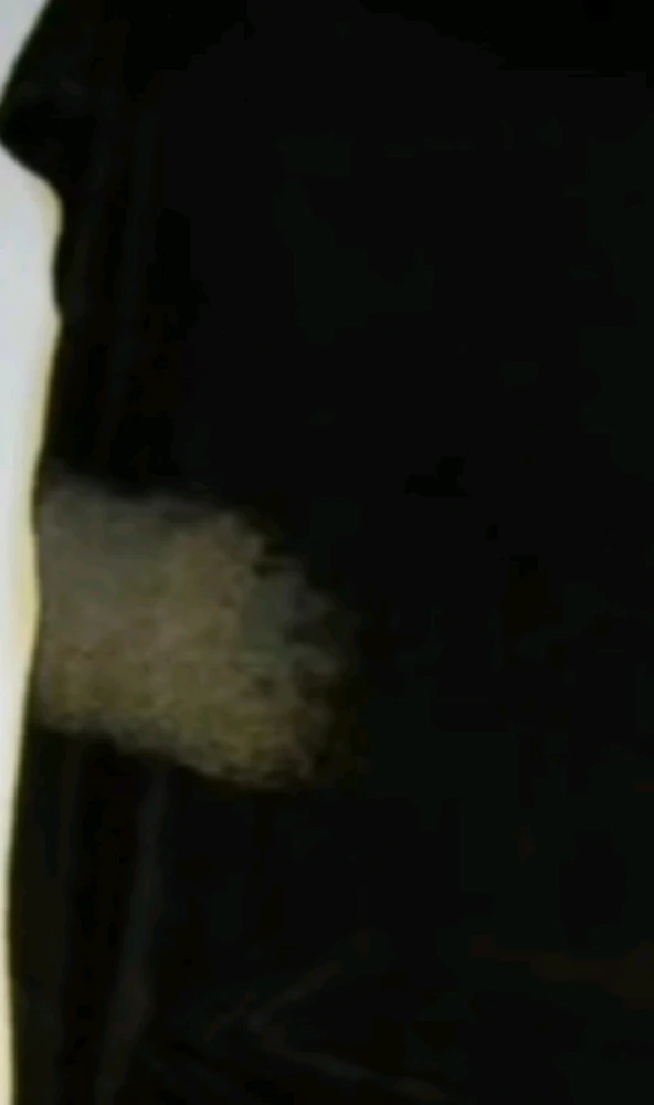 Image uploaded by Ever B